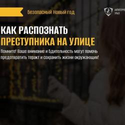 Безопасный Новый год...